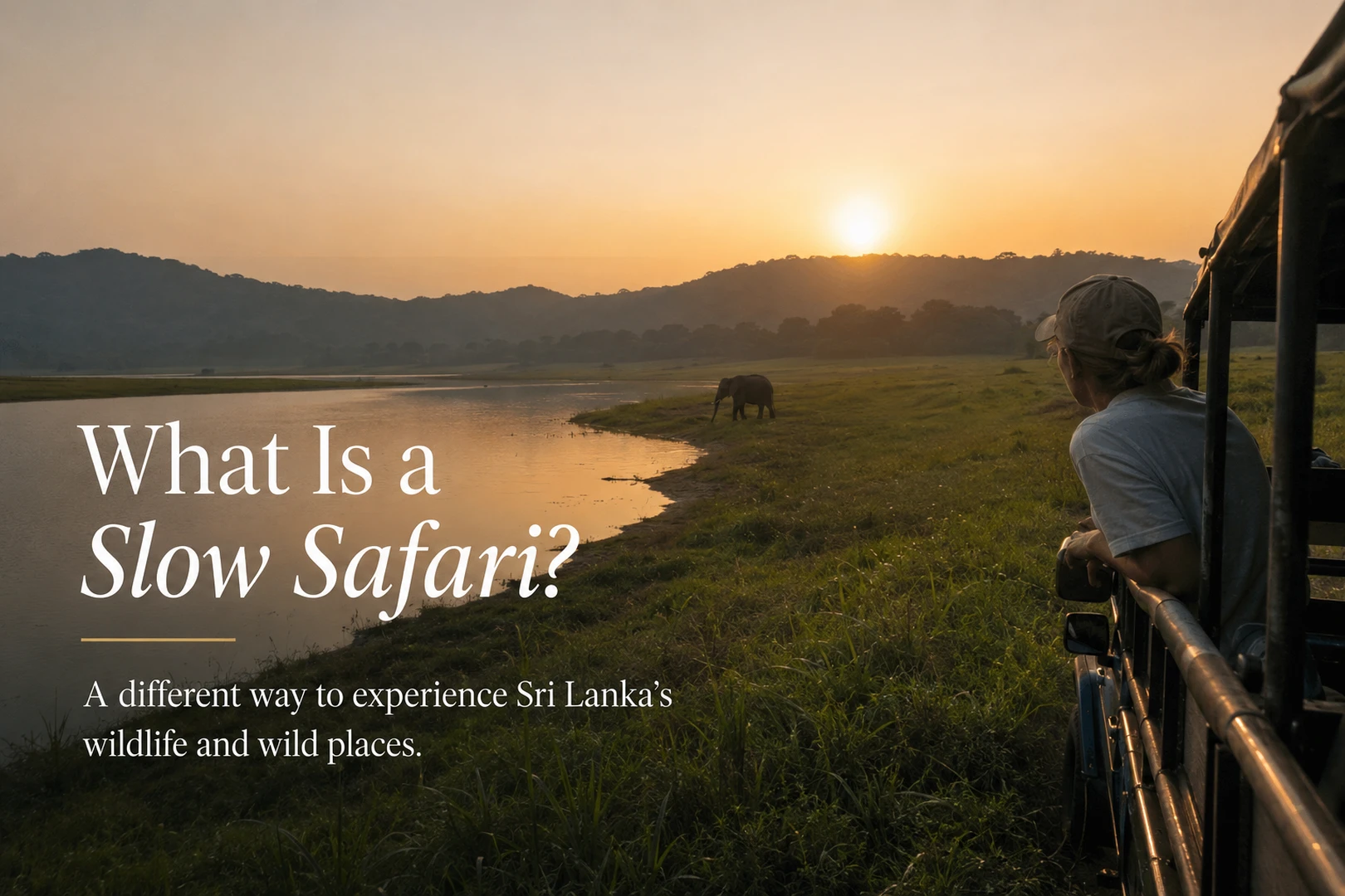 What Is a Slow Safari — a different way to experience Sri Lanka's wildlife